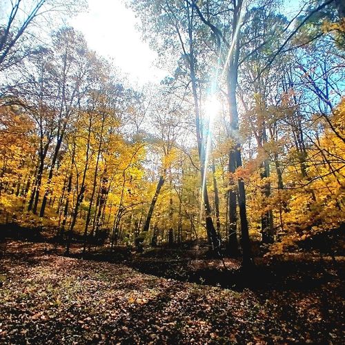 1045 Sardis Rd, Oak Hill, OH, 45656-9672 | Card Image