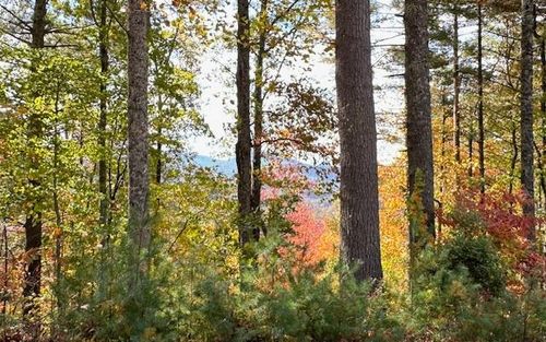 lot-56-Lt 56, 57 Hemlock Hts, Suches, GA, 30572 | Card Image