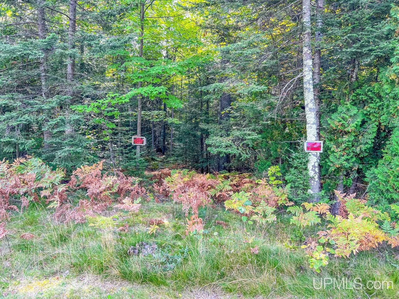 Land in Marquette 3