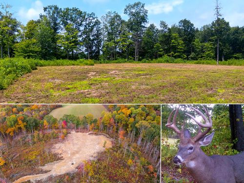 hunters-haven-on-huston-34572 Huston Rd, Radcliff, OH, 45695 | Card Image