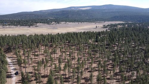 Lot 3 Corner Park Rd, Angel Fire, NM, 87710 | Card Image