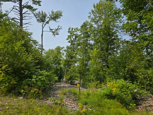 Lot7 Bear Brook Subdivision, Sebec, ME, 04481 | Card Image