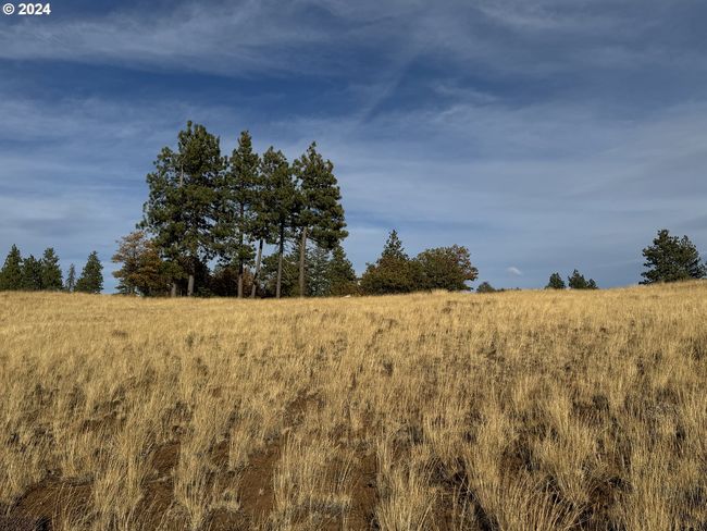 0 Jensen Quarry Rd, Home with 0 bedrooms, 0 bathrooms and null parking in Bickleton WA | Image 38