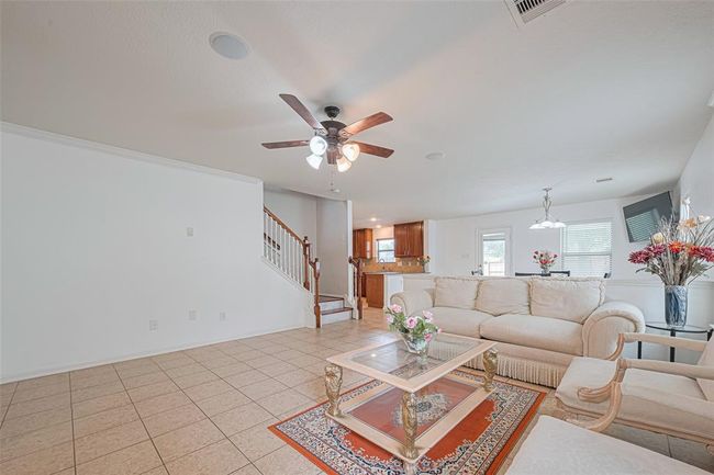 The Living Area | Image 7