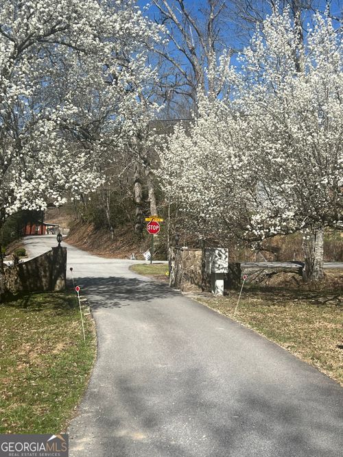 0 Walnut Mountain Rd, Rabun Gap, GA, 30568 | Card Image
