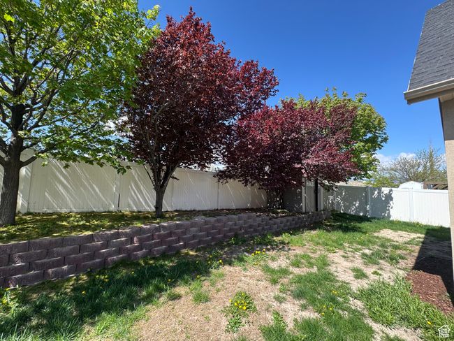 View of fenced backyard | Image 32
