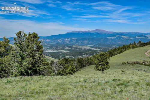 000 Bear Cat Road, Guffey, CO, 80820 | Card Image