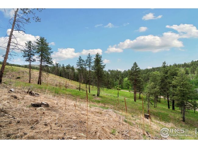 620 Davis Ranch Rd, House other with 3 bedrooms, 4 bathrooms and null parking in Bellvue CO | Image 11
