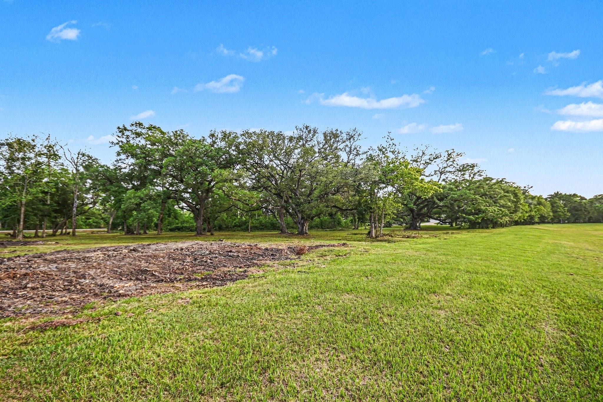 Land in Angleton 3