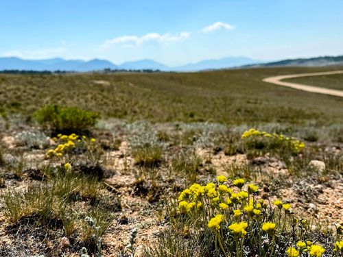 609 Commanche Trail, Hartsel, CO, 80449 | Card Image