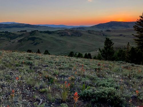 721 Crest Dr, Cimarron, CO, 81220-9516 | Card Image