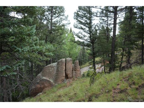28 Feldspar Rd, Florissant, CO, 80816-8699 | Card Image
