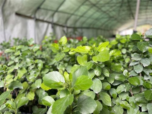 2185 Markley Ave, Naples, FL, 34117-4054 | Card Image