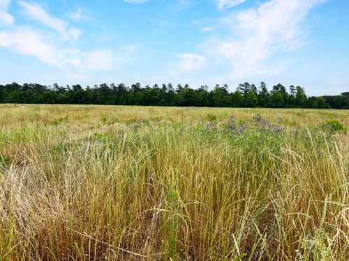 1 S Parler Ave, Saint George, SC, 29477 | Card Image