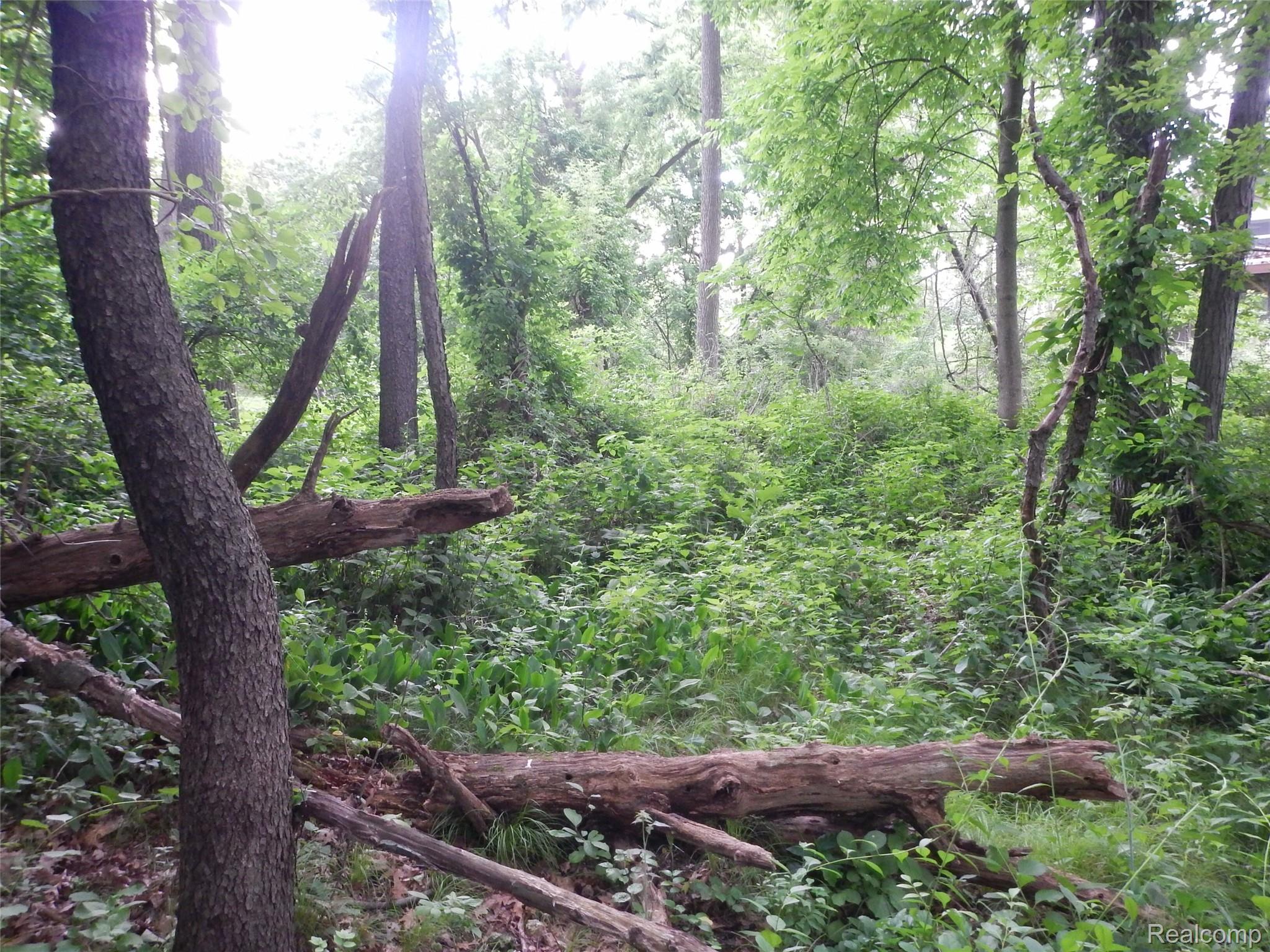 Land in Lake Orion Village