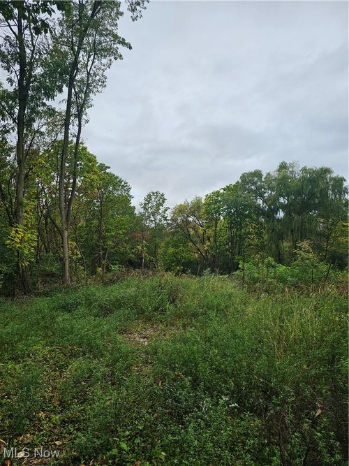 8134 N Boyden Rd, Sagamore Hills, OH, 44067-1708 | Card Image