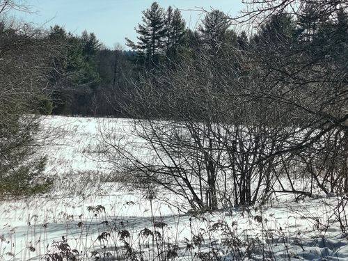 00 Capen Road, Worthington, MA, 01098 | Card Image