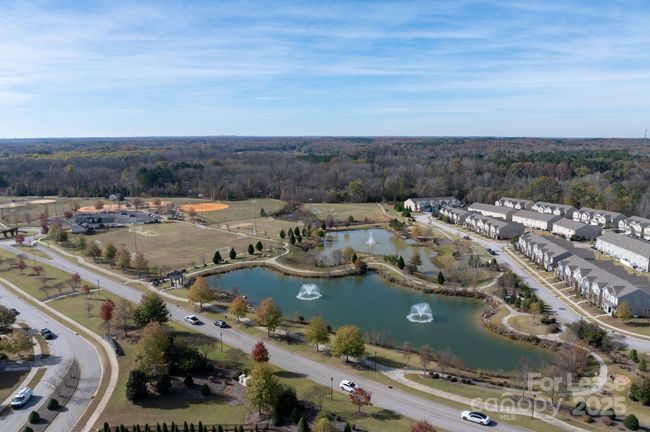 Ponds | Image 27
