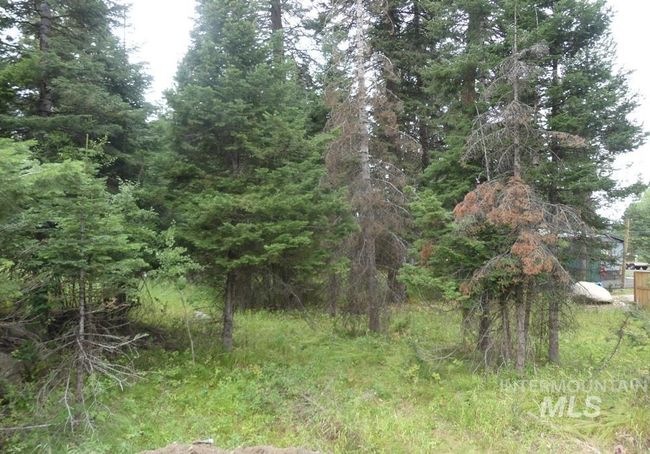 1 Clements Rd, Home with 0 bedrooms, 0 bathrooms and null parking in McCall ID | Image 6