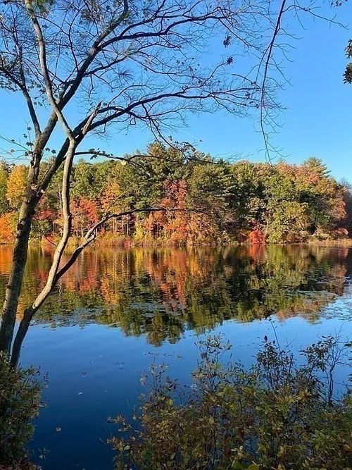 14-14 Iris Ct, Canton, MA, 02021-2784 | Card Image