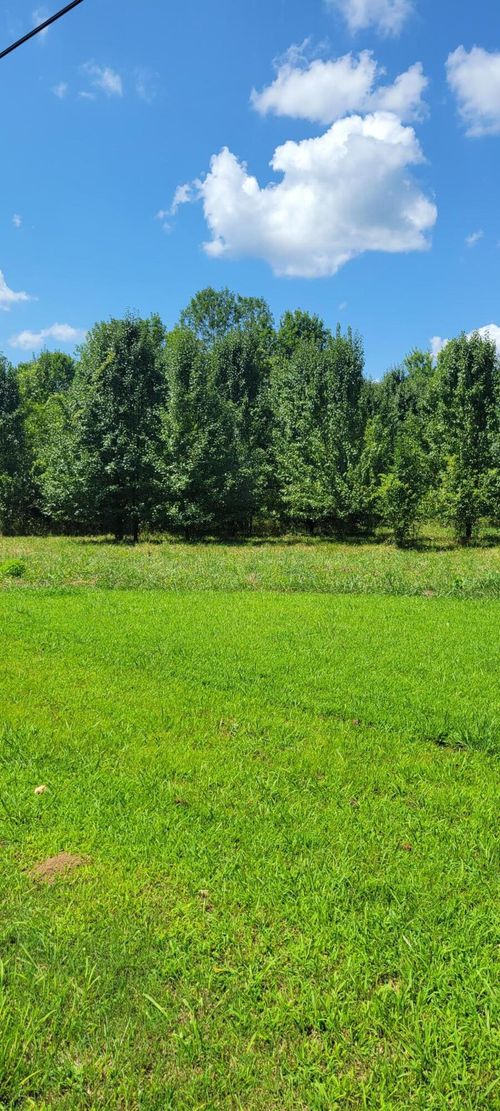 00 Cove Trl, Whitwell, TN, 37397 | Card Image