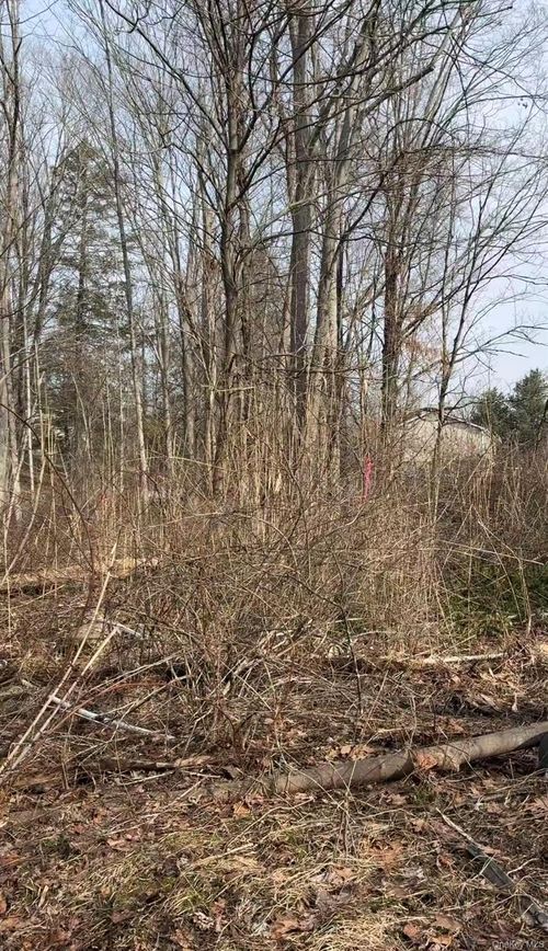 19 & 25 Clearbrook Drive, Putnam Valley, NY, 10541 | Card Image