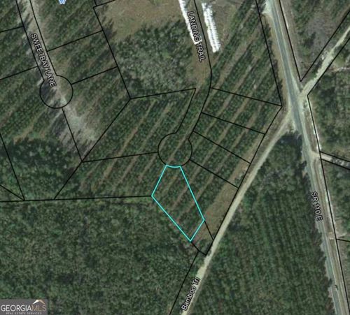LOT 33 Landing Trl, Waynesville, GA, 31566-3962 | Card Image