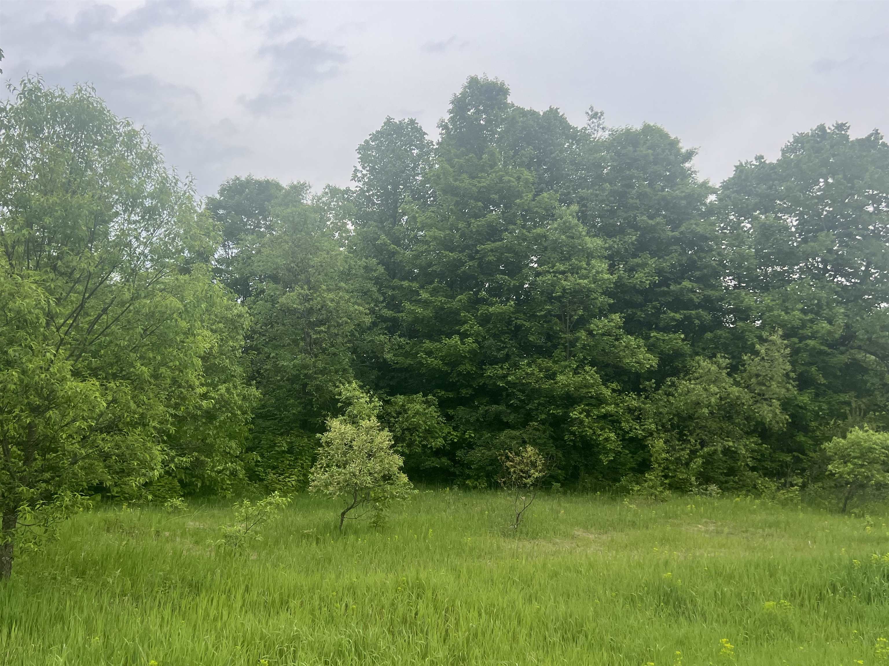 Land in Coldsprings Township 2