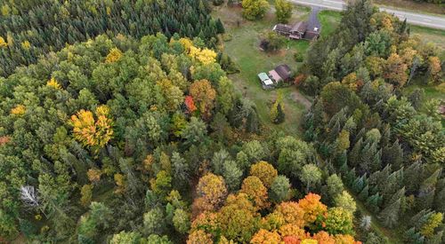 N16340 State Highway 13, Butternut, WI, 54514-8740 | Card Image