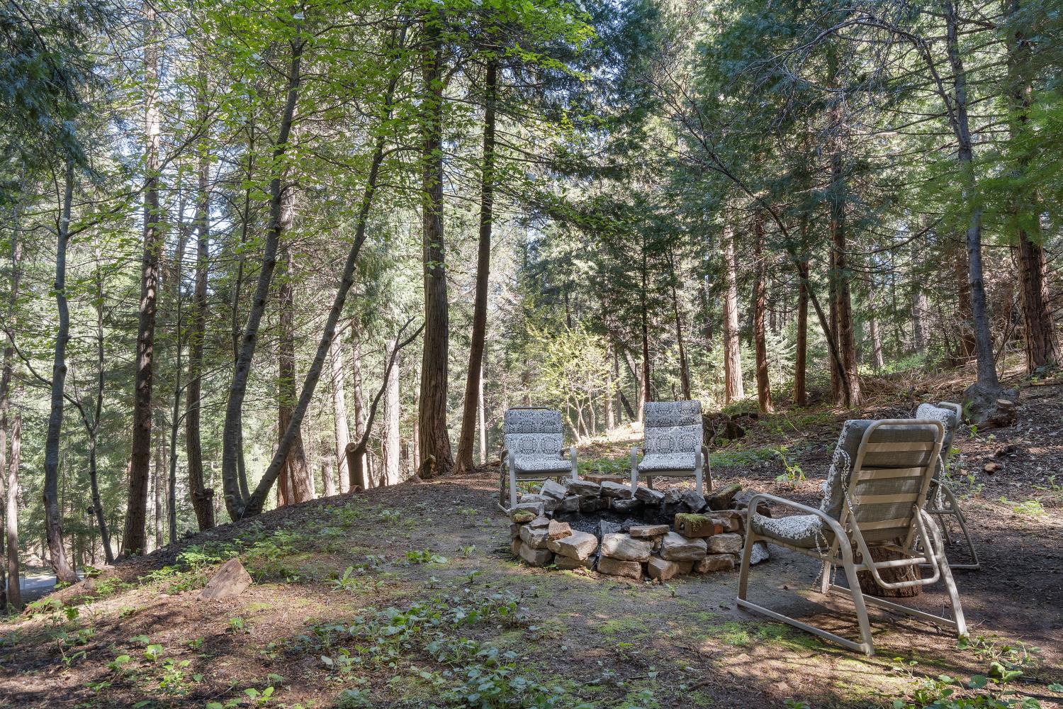 Land in Pollock Pines 2