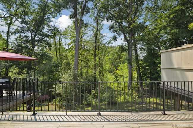 47-1105-Ivyglen-Cir-Bloomfield-Hills-MI-48304-WindowStill-53.jpg | Image 44