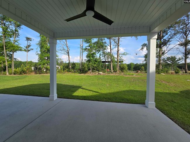 604 Basalt Ct, House other with 3 bedrooms, 3 bathrooms and null parking in Chapin SC | Image 20