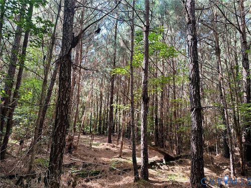 00 Parcel B Turnpike Rd, Bohannon, VA, 23021 | Card Image