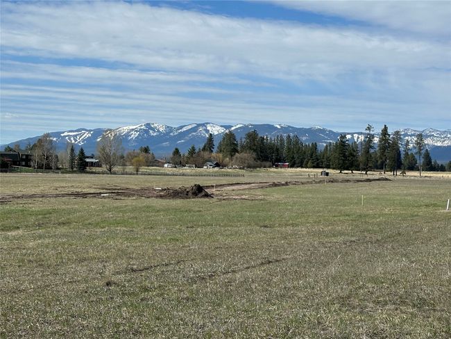 Looking North | Image 5