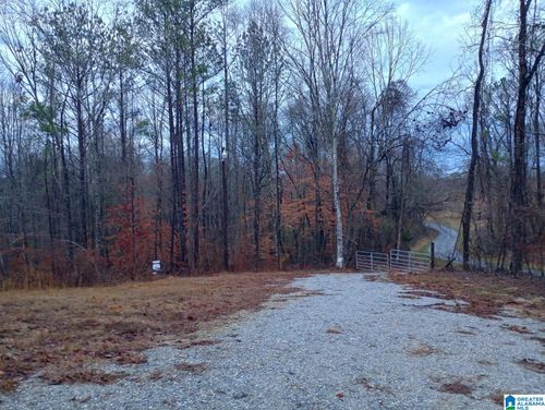 5-310 Fredric Ferry Rd, DAVISTON, AL, 36256-7424 | Card Image