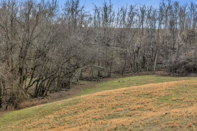 0 Fishing Ford Rd, Home with 0 bedrooms, 0 bathrooms and null parking in Belfast TN | Image 16