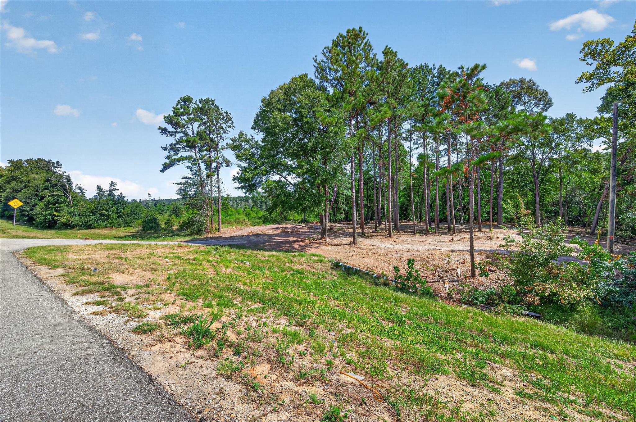 Land in Livingston 5