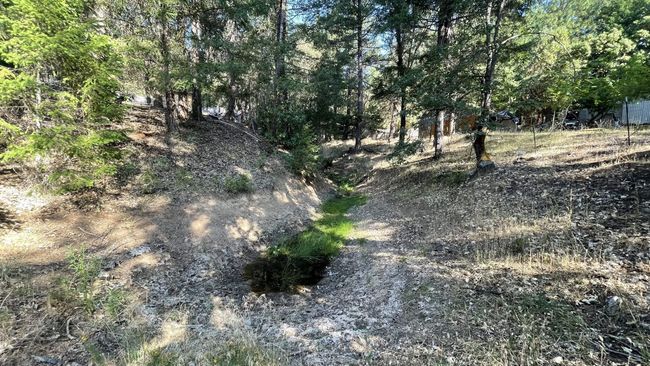 Small season pond on Property | Image 32