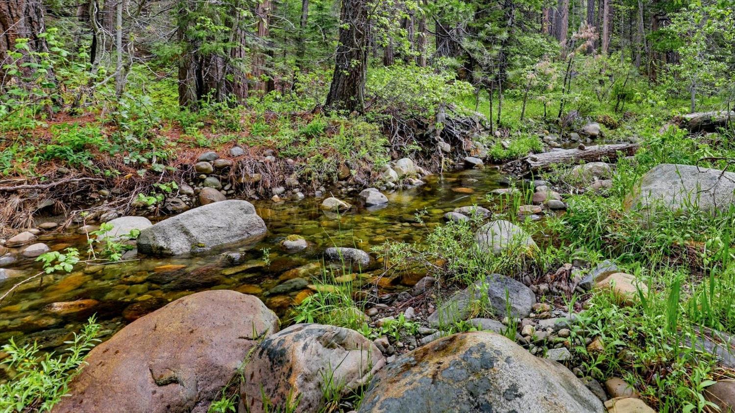 Land in Emigrant Gap 4