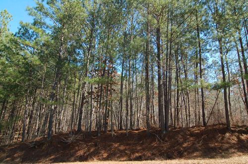 44-1480 Pullman Lane, Greensboro, GA, 30642 | Card Image