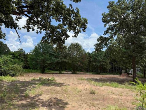 519 Perkins Loop, Diana, TX, 75640-4247 | Card Image