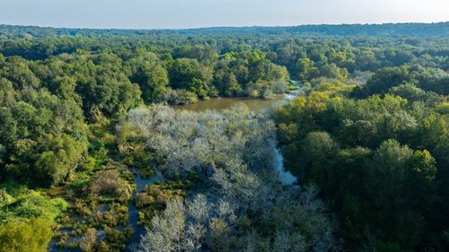 TBD County Road 354, Winona, TX, 75792 | Card Image