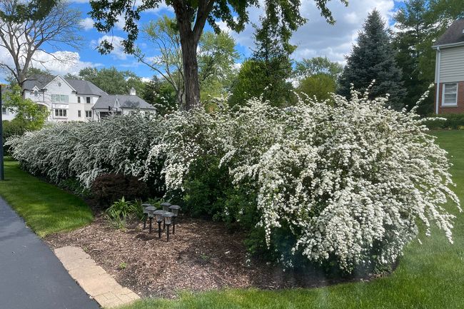 50 Roberts Rd, House other with 3 bedrooms, 3 bathrooms and 2 parking in Inverness IL | Image 20