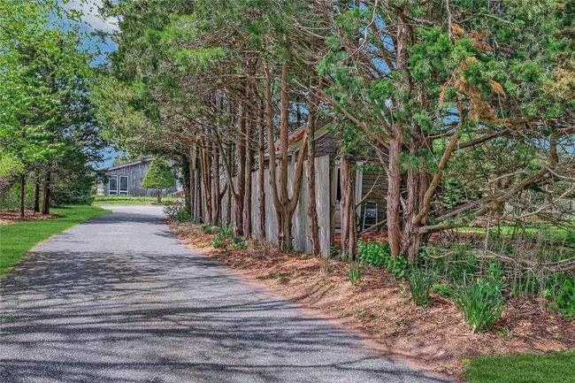 View of asphalt driveway | Image 19