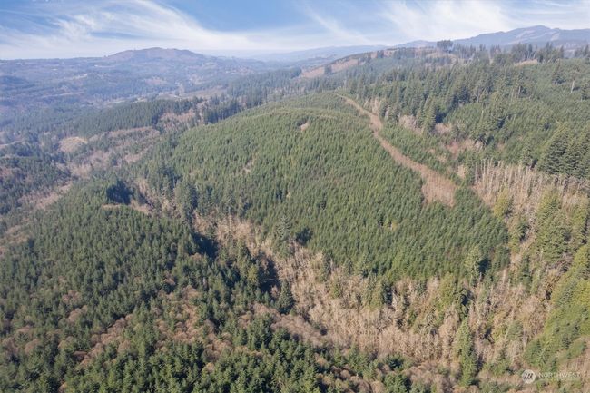 0 Ne Cedar Mist Rd, Home with 0 bedrooms, 0 bathrooms and null parking in AMBOY WA | Image 14