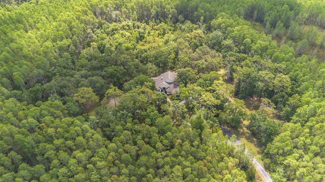 11933 Pasco Trails Blvd, House other with 4 bedrooms, 3 bathrooms and null parking in SPRING HILL FL | Image 58
