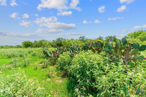 3 Cr 280, Harwood, TX, 78629 | Card Image