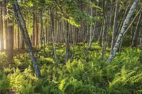 7 Misty Ln, White Lake, NY, 12786 | Card Image