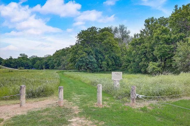 View of yard featuring a wooded view | Image 19
