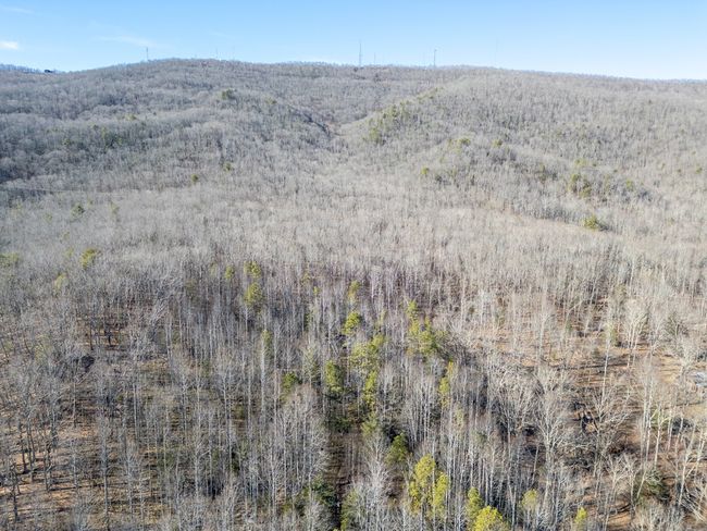 92 Acres Laurel Fork Rd, Home with 0 bedrooms, 0 bathrooms and null parking in Rocky Gap VA | Image 33